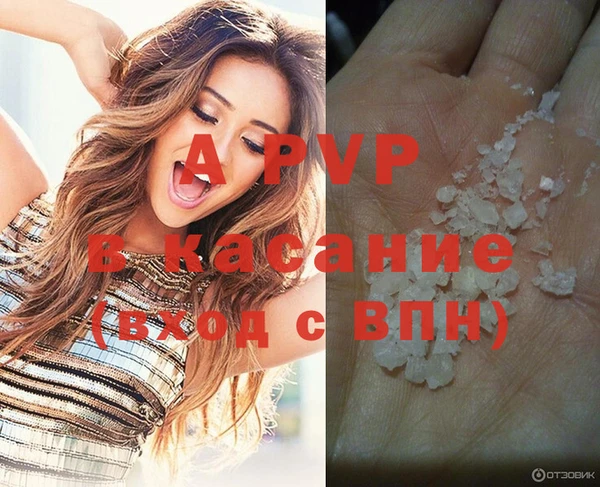 мяу мяу мука Абаза