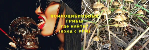 мяу мяу мука Абаза