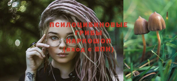прущая мука Абинск