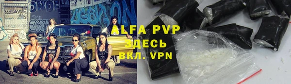 мяу мяу мука Абаза