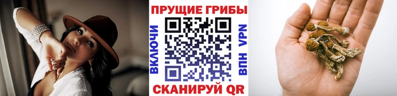 Псилоцибиновые грибы GOLDEN TEACHER  Лиски 
