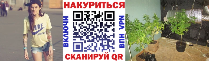 Канабис Amnesia  Лиски 